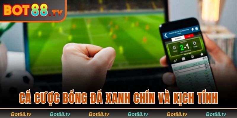 Sportsbook Bot88 - Trải Nghiệm Cá Cược Thể Thao Đỉnh Cao 2 Cá cược bóng đá xanh chín và kịch tính